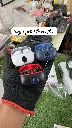 IMG-20250730-WA0002.webp